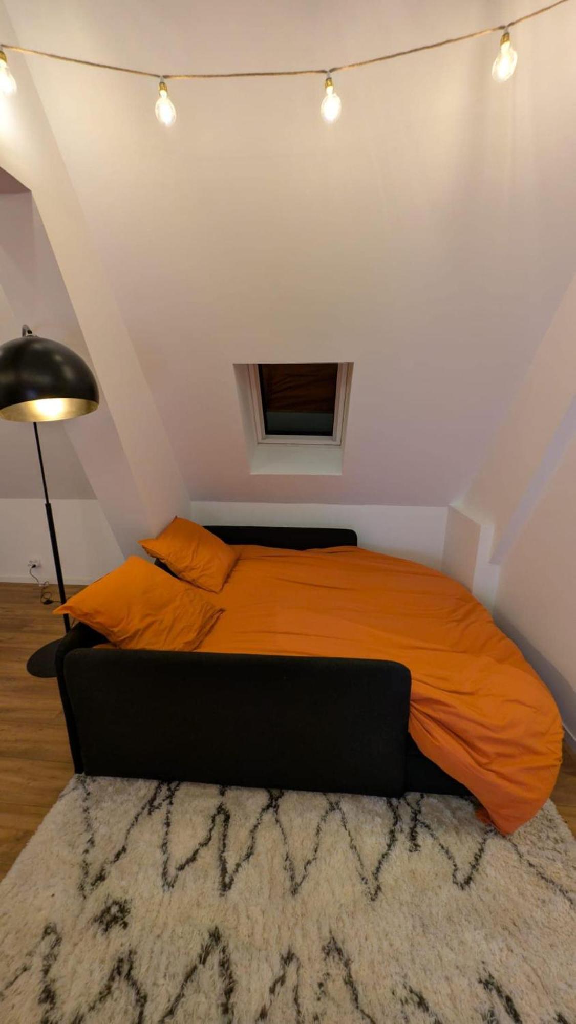 Charmant T3 Hypercentre - Navette Aeroport A 2 Pas Beauvais Eksteriør billede